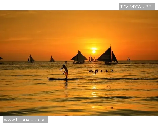《追风逐梦:青春热血在竞技赛场上的拼搏与荣耀》 《追风逐梦:青春热血在竞技赛场上的拼搏与荣耀》